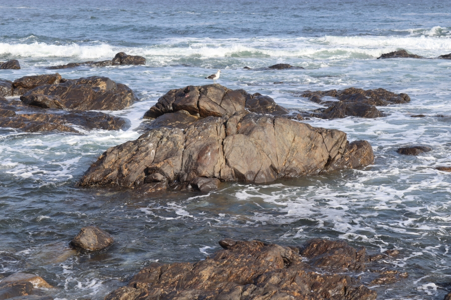 0 Bedroom Property for Sale in St Helena Views Western Cape